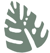 demodex mite treatment-leaf