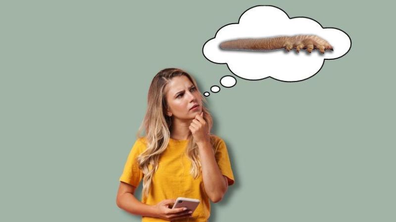 About demodex mites-Ozidex